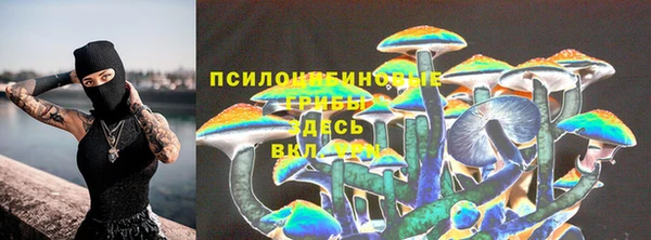 PSILOCYBIN Алексин